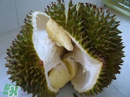 榴蓮和雞蛋能一起吃嗎？榴蓮和什么不能一起吃？