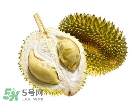 榴蓮籽能種嗎？榴蓮籽怎么種小盆栽？