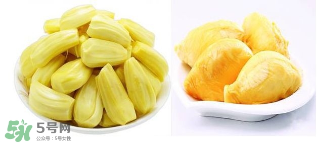 榴蓮和菠蘿蜜一樣嗎？榴蓮和菠蘿蜜哪個營養(yǎng)好？