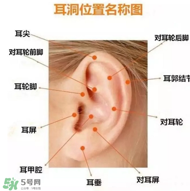 打耳洞多少錢一對？打耳洞相當于什么疼