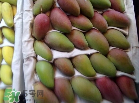 芒果有哪些品種？哪種芒果最好吃？