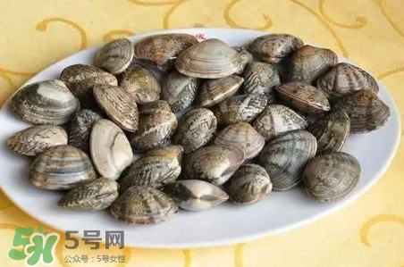 蛤蜊和花甲一樣嗎？蛤蜊和花甲的區(qū)別