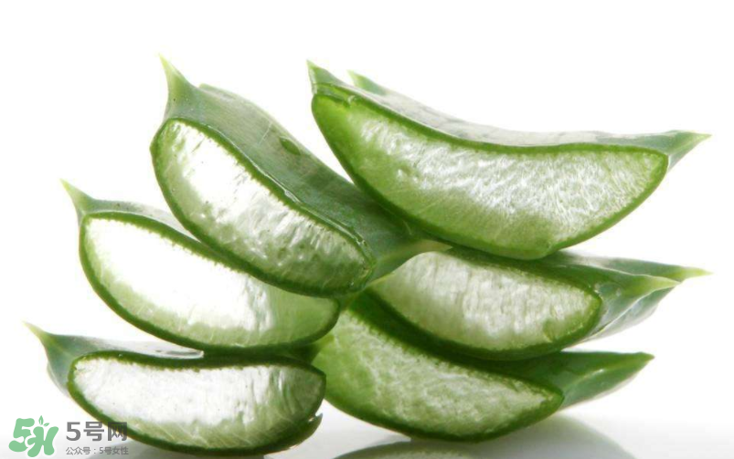 敏感肌能使用蘆薈護膚嗎？蘆薈膠有什么用？