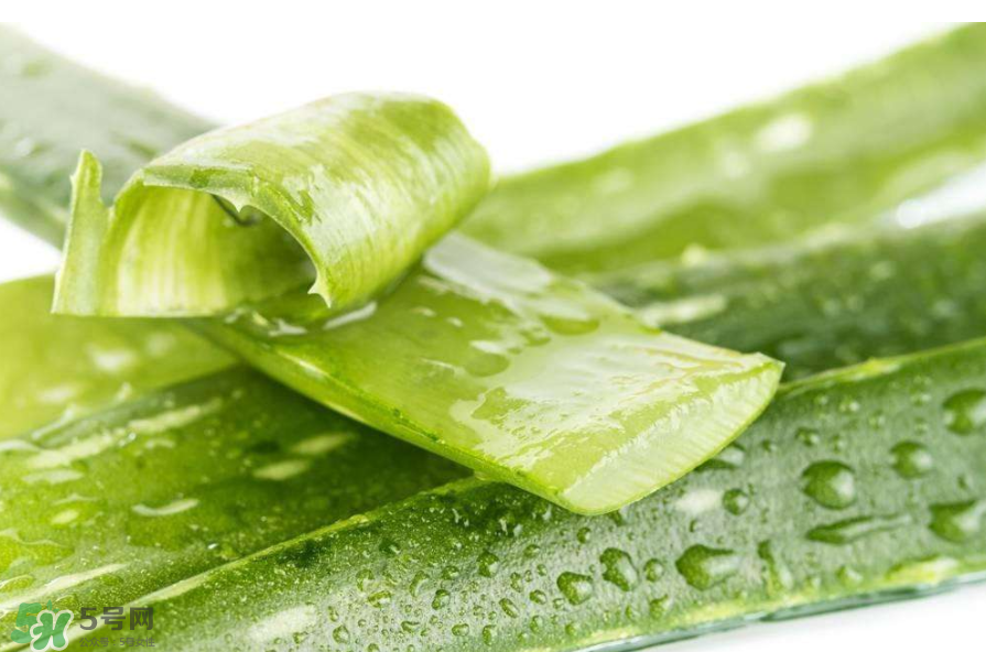 敏感肌能使用蘆薈護膚嗎？蘆薈膠有什么用？