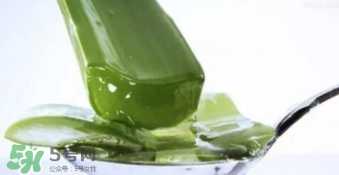 蘆薈怎么吃？蘆薈番茄湯的做法 