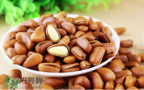 松子什么時候成熟？松子什么時候吃最好
