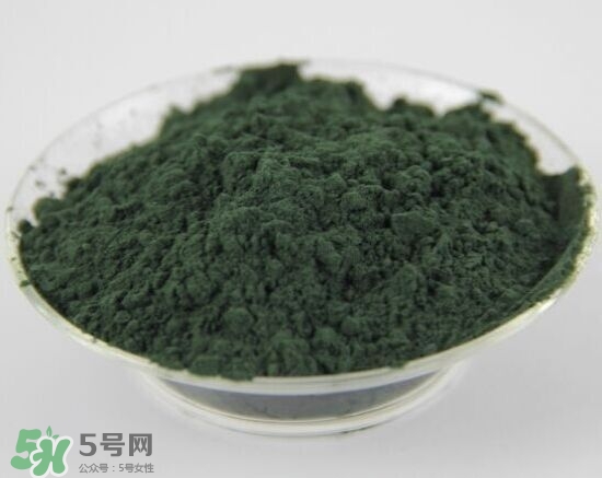 螺旋藻粉怎么吃？螺旋藻粉的功效與作用