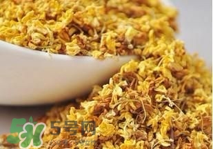 桂花茶怎么泡？桂花茶泡水喝的禁忌 