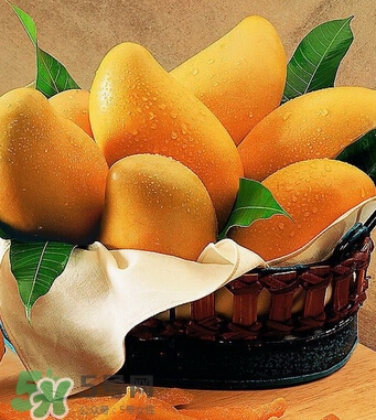 芒果怎么吃？芒果的做法大全