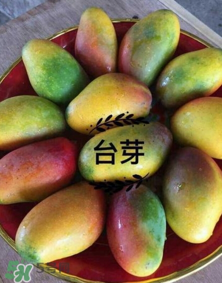 芒果有哪些品種？哪種芒果最好吃？