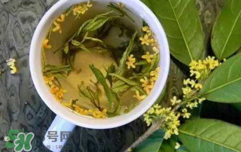 桂花茶怎么泡好喝？桂花茶怎么制作？