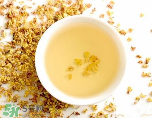 桂花茶怎么泡好喝？桂花茶怎么制作？
