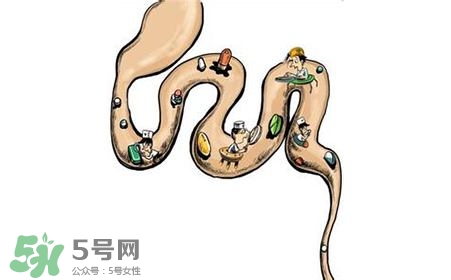 螺旋藻能治胃病嗎？有胃病日常需要注意什么？