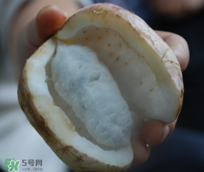 八月瓜可以經(jīng)常吃嗎？八月瓜可以多吃嗎？