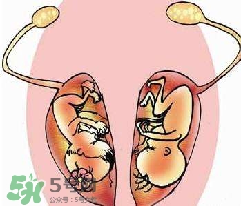 雙子宮對(duì)懷孕有影響嗎？雙子宮懷孕要注意什么？
