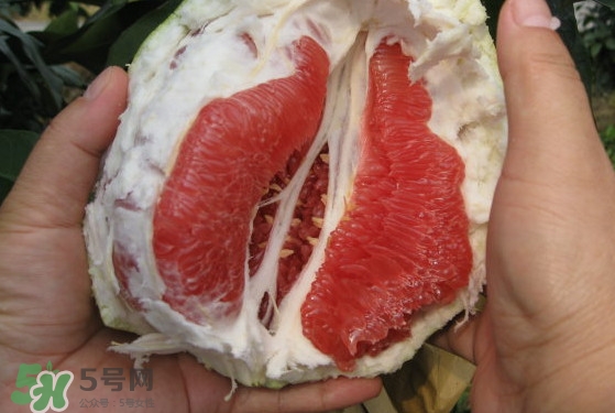 紅肉蜜柚可以儲(chǔ)存多久？紅肉蜜柚怎么挑選