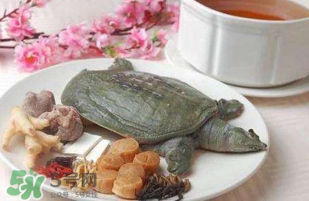 腳魚是什么？腳魚和烏龜?shù)膮^(qū)別