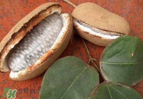八月瓜能放冰箱嗎？八月瓜怎么保存？