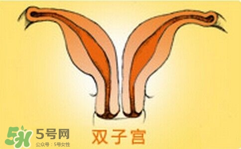 雙子宮是什么意思？雙子宮可以順產(chǎn)嗎？