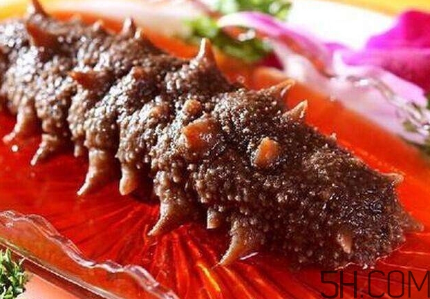 海參能和西紅柿一起吃嗎？海參和什么一起吃最好？