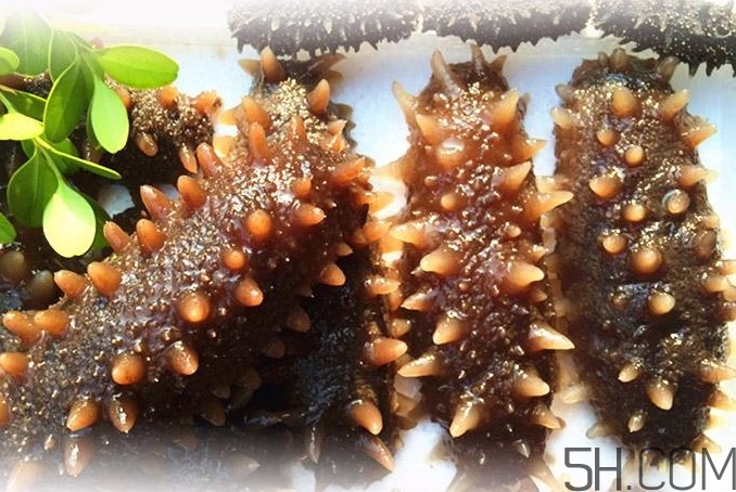 海參能和西紅柿一起吃嗎？海參和什么一起吃最好？