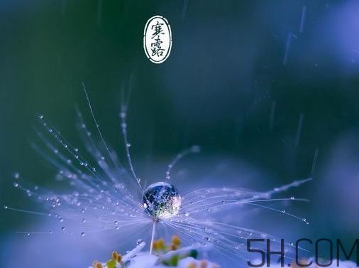 2017年寒露會下雨嗎？寒露下雨好嗎？