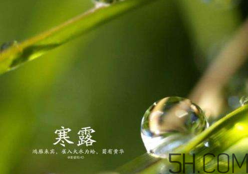 2017年寒露會下雨嗎？寒露下雨好嗎？