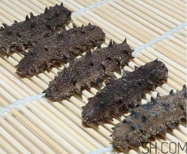 海參顏色深好還是淺好？海參顏色發(fā)白時怎么回事？