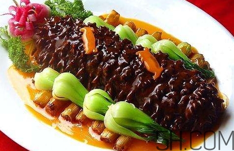海參是高蛋白食物嗎？海參是素食嗎？