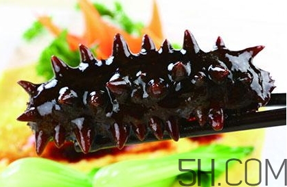 海參是高蛋白食物嗎？海參是素食嗎？