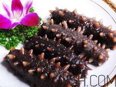 海參是高蛋白食物嗎？海參是素食嗎？