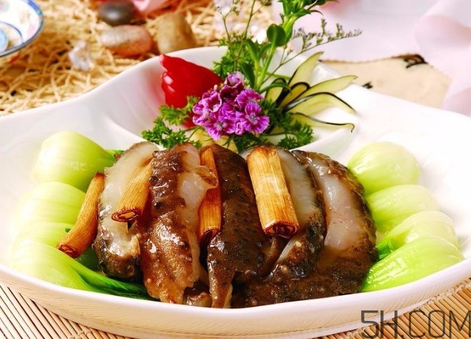 海參是高蛋白食物嗎？海參是素食嗎？