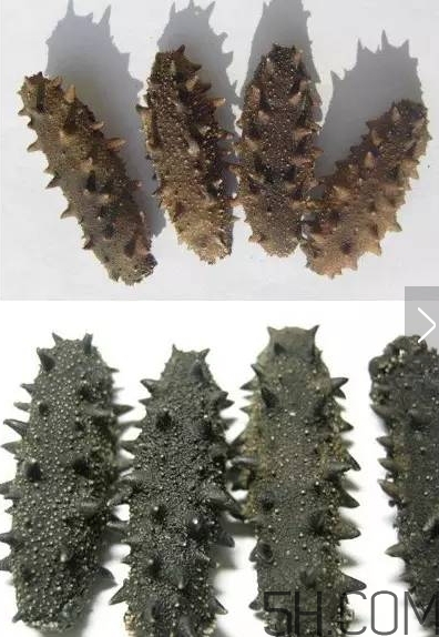 海參顏色深好還是淺好？海參顏色發(fā)白時怎么回事？