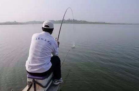 大蒜泡酒能釣魚嗎？大蒜泡酒釣魚的方法