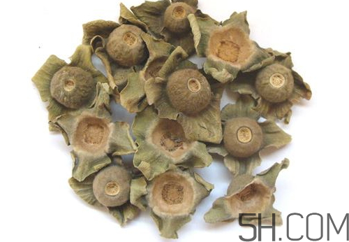 柿蒂治打嗝怎么煮水？柿蒂的功效與作用