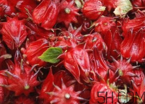 洛神果是什么？洛神果和洛神花區(qū)別