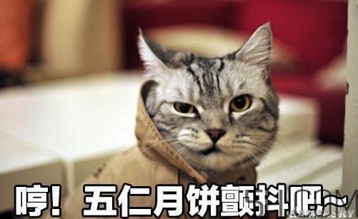 十仁月餅是哪十仁？十仁月餅好吃嗎