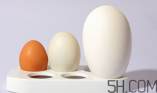 孕婦什么時(shí)候去胎毒？可以喝中藥去胎毒嗎？
