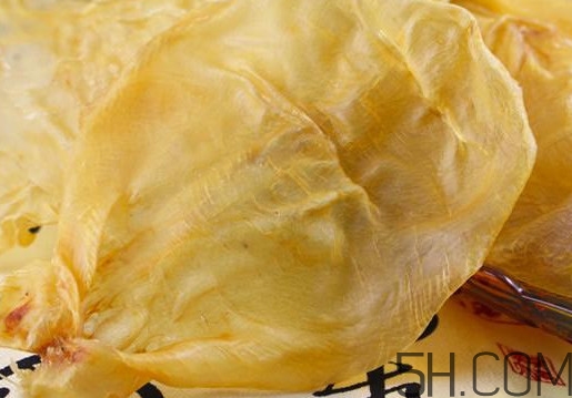 魚膠是魚泡嗎？魚膠是海鮮嗎