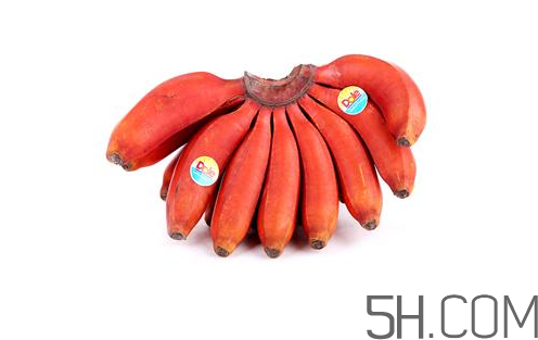 紅香蕉和普通香蕉的區(qū)別？香蕉可以放冰箱冷凍嗎？