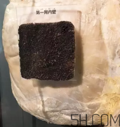 牛百葉和毛肚是一個東西嗎？牛百葉上面有層黑皮能吃嗎？