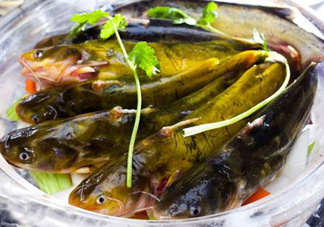 黃骨魚是發(fā)物嗎？黃骨魚是什么魚？