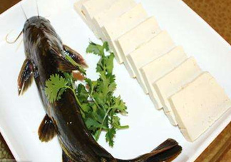 黃骨魚有刺嗎？黃骨魚有毒嗎？