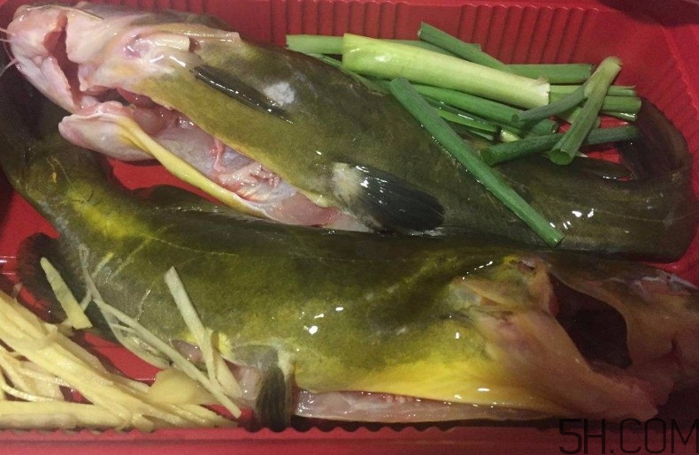 黃骨魚湯下奶嗎？黃骨魚湯的做法 