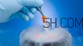 試管嬰兒有什么風(fēng)險？試管嬰兒長大后的弊端