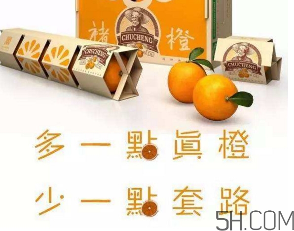 褚橙真的那么好吃嗎？褚橙哪里可以買到