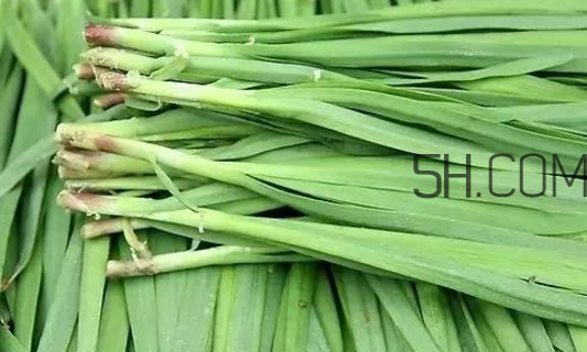 生蠔和韭菜一起吃有什么好處？吃韭菜的好處