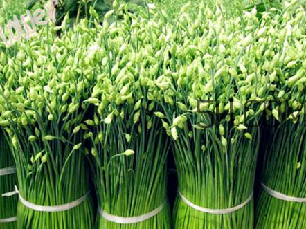 來(lái)月經(jīng)可以吃韭菜嗎？韭菜花的腌制方法