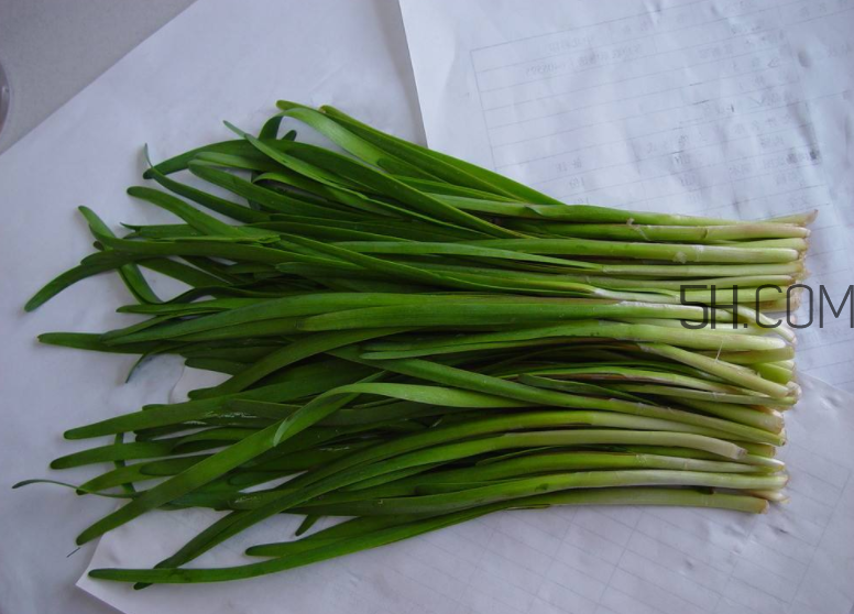 韭菜怎么保存？韭菜傷胃嗎？