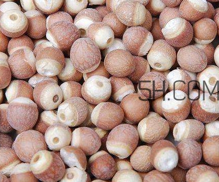 芡實(shí)是中藥嗎？芡實(shí)哪里可以買到